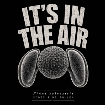 Pollen 4 - It’s In The Air