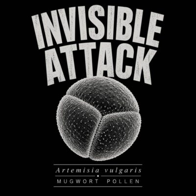 Pollen 5 - Invisible Attack